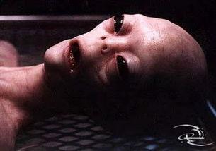 外星人披露档案 第一季,第一季深度解析