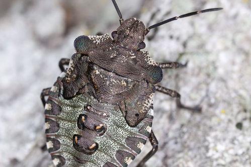 黑金1997（完整版）,揭秘金融风暴背后的权力与阴谋